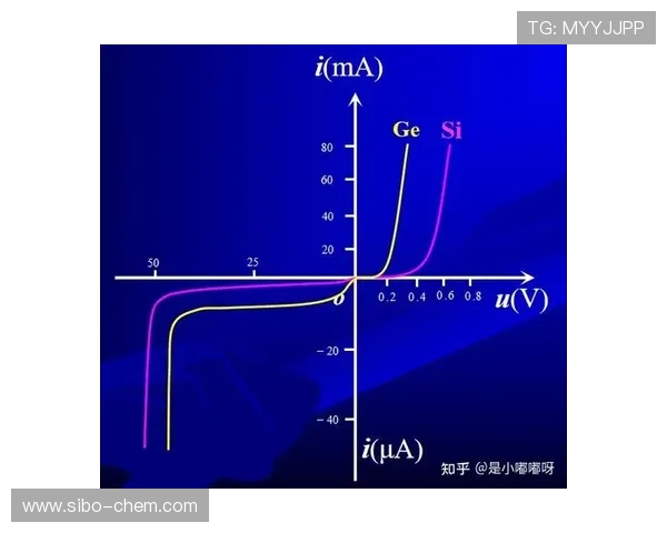 杭州网球队实力深度剖析与对比探讨全面解读各队优势与不足 杭州网球队实力深度剖析与对比探讨全面解读各队优势与不足