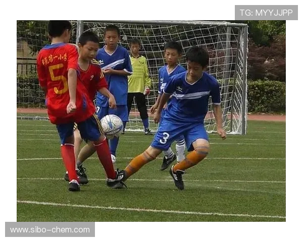 杭州足球队在全国耐力排行榜中荣获第八名的荣耀时刻 杭州足球队在全国耐力排行榜中荣获第八名的荣耀时刻