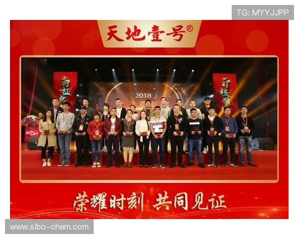 武汉排球队的拼搏之路与荣耀时刻的深度剖析与回顾 武汉排球队的拼搏之路与荣耀时刻的深度剖析与回顾