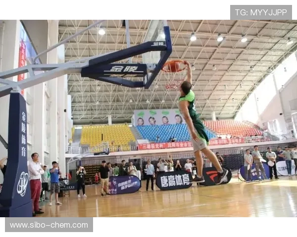 深圳羽毛球队的拼搏历程与大师赛荣耀之路探秘 深圳羽毛球队的拼搏历程与大师赛荣耀之路探秘