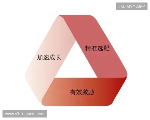 广州篮球队意识提升之路：聚焦团队合作与个人成长的双重发展