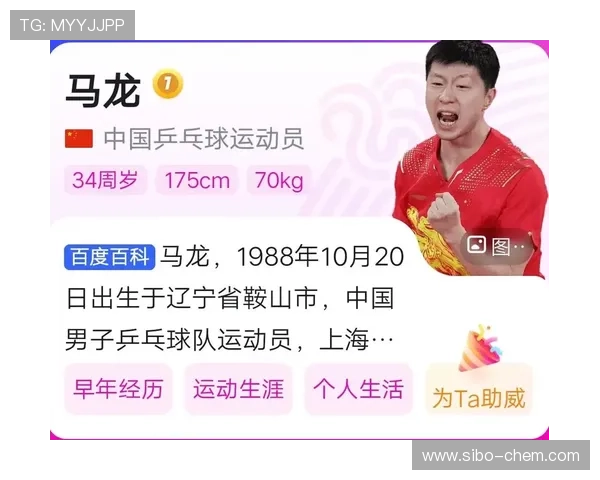 武汉乒乓球队与重庆乒乓球队速度对决赛后分析与反思