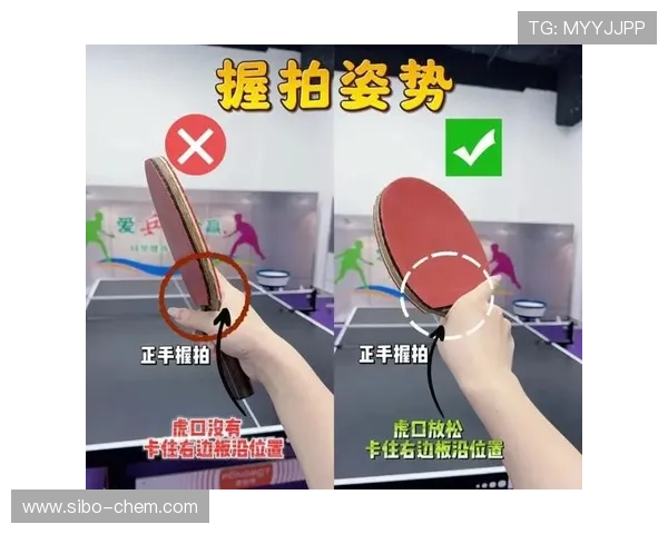 乒乓球新手必看:从零基础到实力提升的全面攻略与技巧分享 乒乓球新手必看:从零基础到实力提升的全面攻略与技巧分享