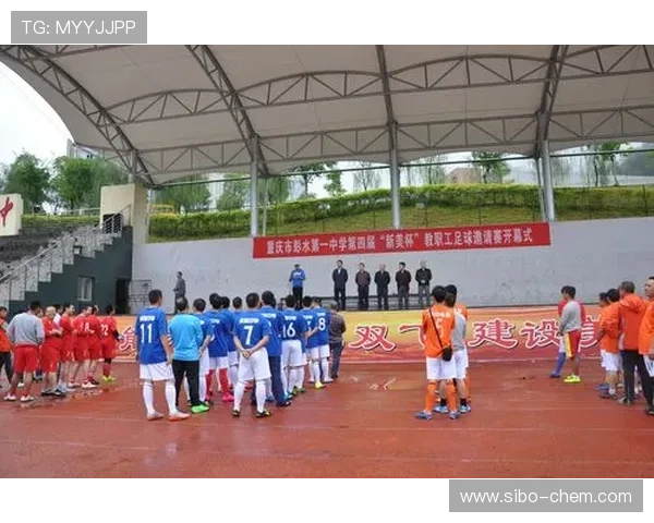 重庆乒乓球队在钻石联赛中的战术表现分析与点评 重庆乒乓球队在钻石联赛中的战术表现分析与点评