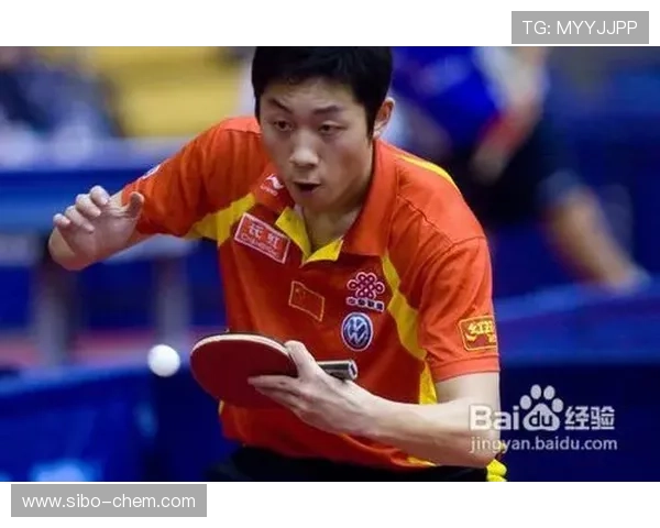 南京乒乓球队快攻战术解析与实战应用探讨