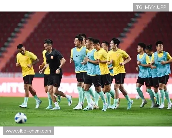 成都排球队以53分领跑杯赛积分榜展现强劲实力和团队合作精神