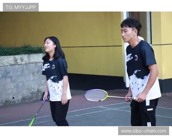 成都羽毛球队的奋斗历程与辉煌成就全景回顾