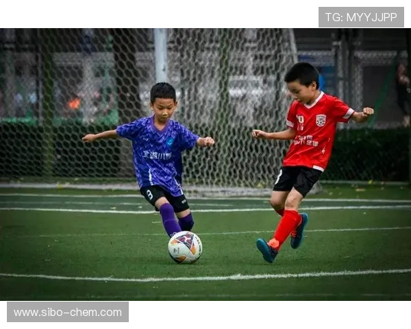 武汉足球队的节奏揭秘：激情与梦想交织的绿茵传奇